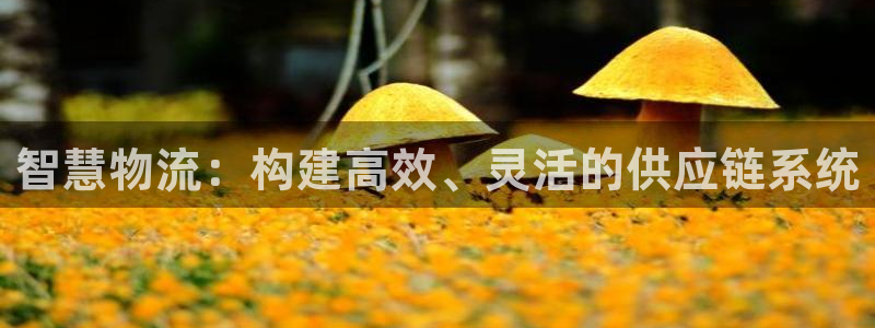 怎样在tp钱包上查持币地址：智慧物流