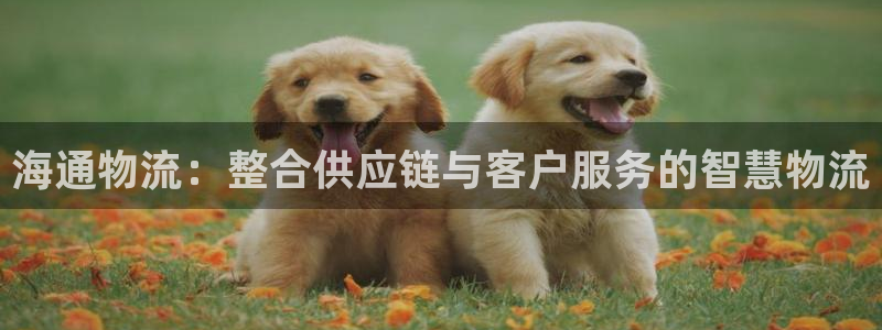 tp钱包ETH怎么换trx：海通物流