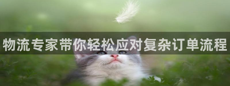 tp钱包官方网下载jzdlwc