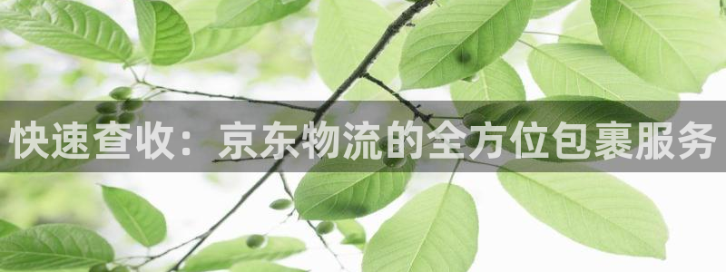 怎么下载tp钱包：快速查收：京东物流