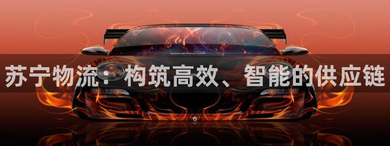 tptp官方下载在哪下：苏宁物流：构