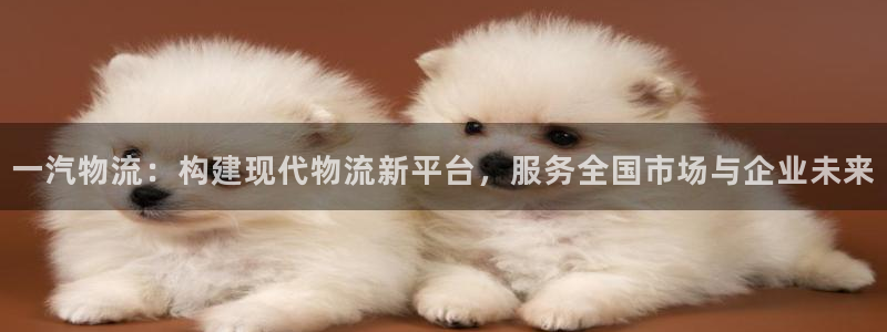 冷钱包tp：一汽物流：构建现代物流新