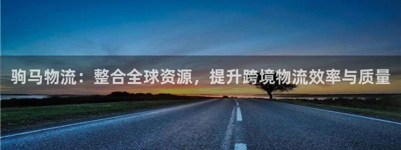 tp钱包交易视频：驹马物流：整合全球