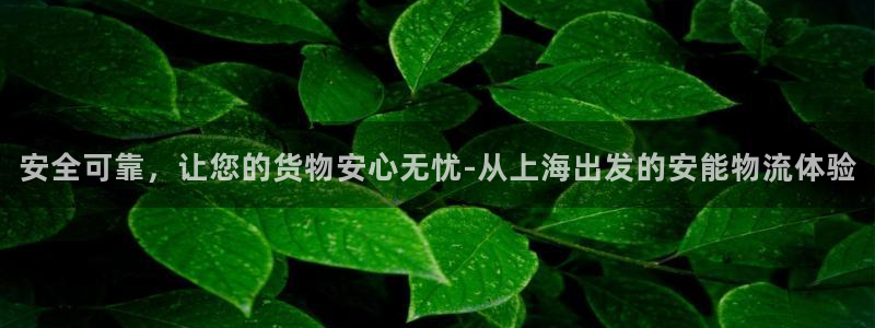 tp钱包怎么搬砖：安全可靠，让您的货
