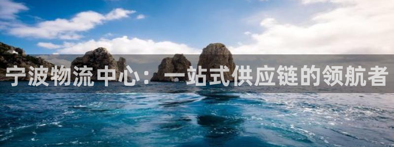 tp钱包提币到交易所：宁波物流中心：