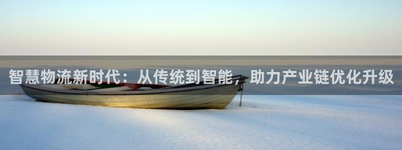 tp钱包支持什么网络：智慧物流新时代
