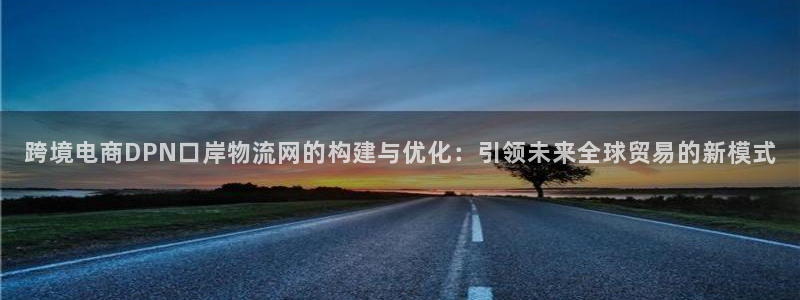 tp钱包FLX币的锁仓机制：跨境电商DPN口岸物流网的构建与