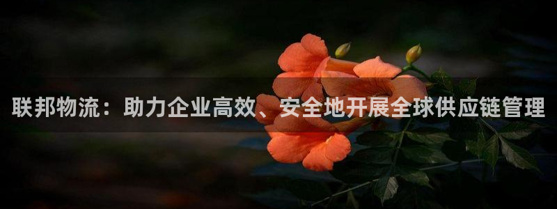 苹果下载不了tp钱包：联邦物流：助力