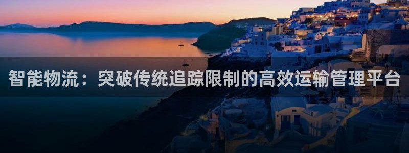tp钱包特别卡：智能物流：突破传统追
