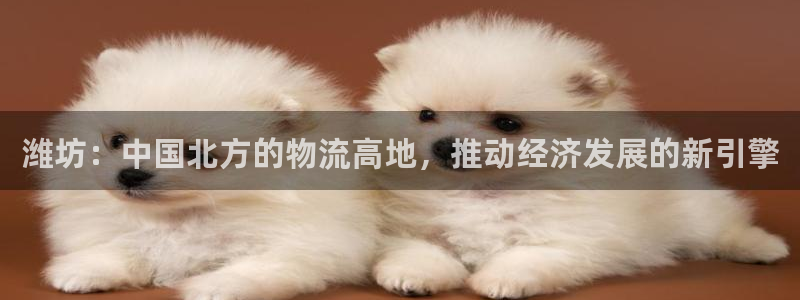 tp钱包手续费：潍坊：中国北方的物流