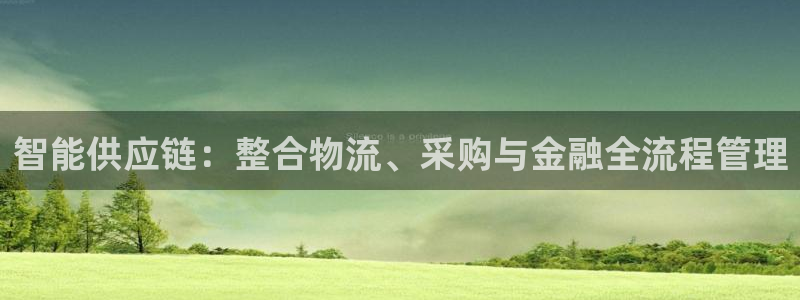 tp钱包的币币兑换：智能供应链：整合