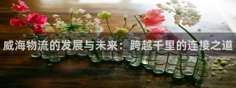 tp钱包怎么找回：威海物流的发展与未