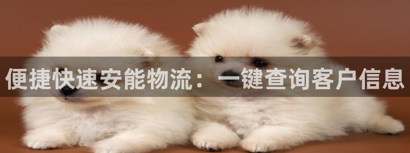 tp钱包为什么金额不动：便捷快速安能