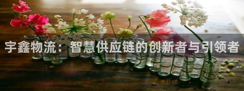 TP钱包每个钱包地址可以一样吗：宇鑫
