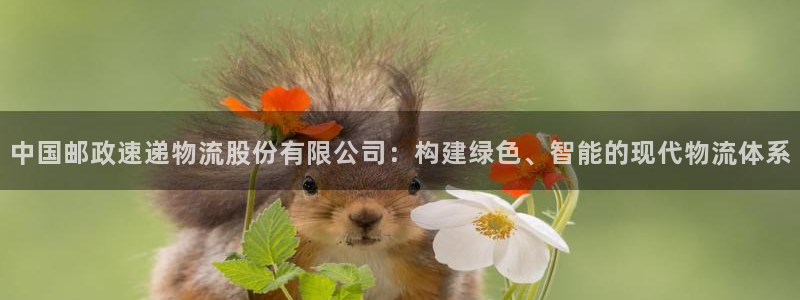 TP钱包怎样买usdt：中国邮政速递