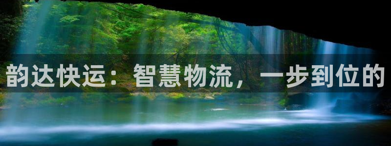 tp 观察钱包：韵达快运：智慧物流，