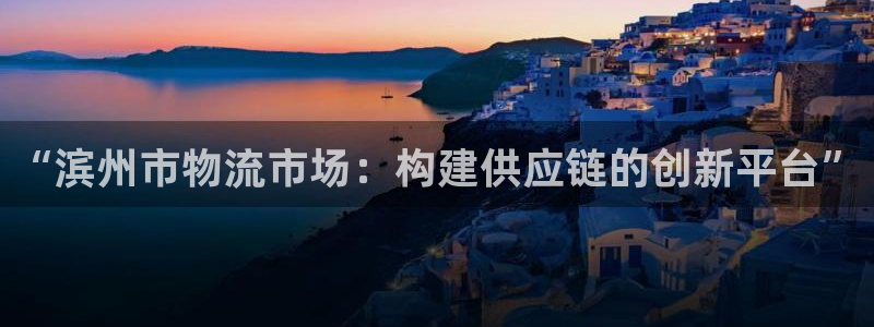tp钱包问题：“滨州市物流市场：构建