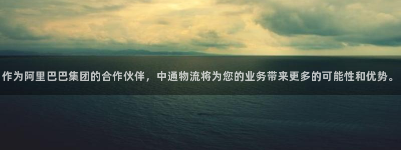 tp钱包 添加fil：作为阿里巴巴集