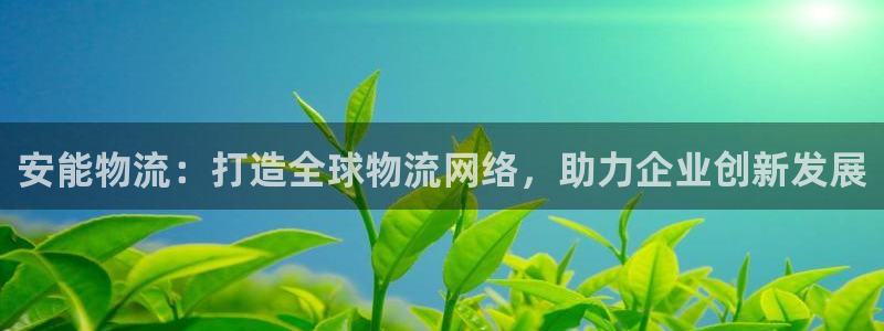tp钱包打不开薄饼：安能物流：打造全