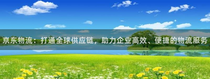 TP钱包下载最新版：京东物流：打通全
