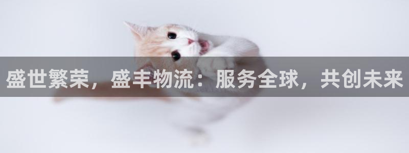 tp官方网：盛世繁荣，盛丰物流：服务