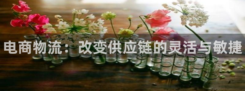 tplogincn官：电商物流：改变