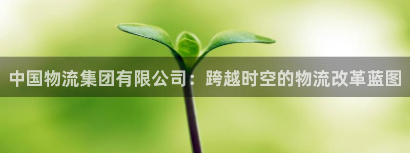 tp钱包被盗了最简单三个步骤：中国物流集团有限公司：跨越时空