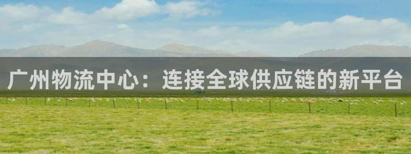 tp钱包怎么导入：广州物流中心：连接
